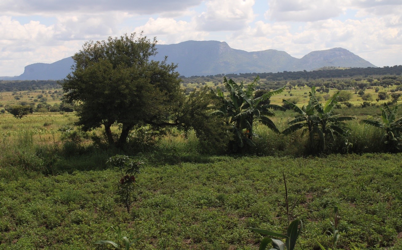 Rooted in Faith, Empowering Lives